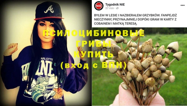 не бодяженный Алексин
