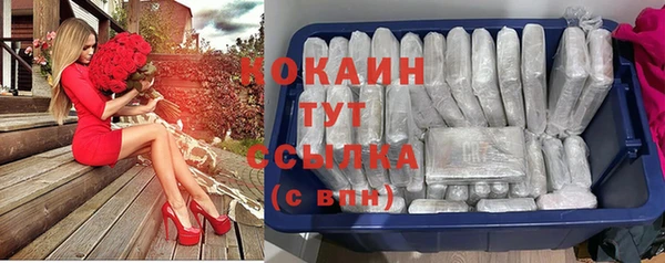 не бодяженный Алексин