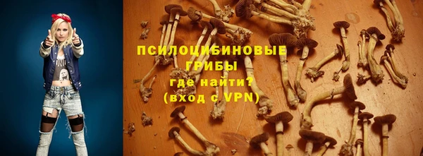 не бодяженный Алексин