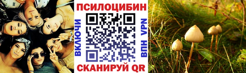 Псилоцибиновые грибы прущие грибы  площадка телеграм  Перевоз  закладки 